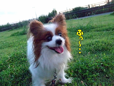 ̲¤ì¤Ê¤¤Ì롦¡¦¡¦¦