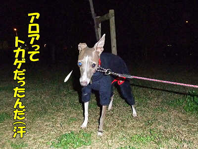 ²¦»Ò¤¬¤ä¤Ã¤Æ¤¤¿¡¦¡¦¡¦ª