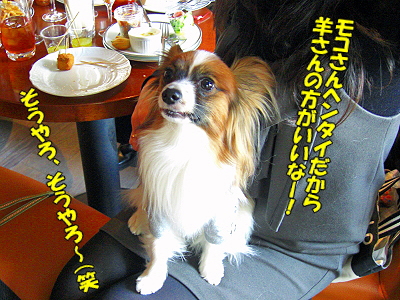 ¥ª¥Õ²ñ¤Ë¹Ô¤Ã¤Æ¤¤¿¤è¡ª¡ÊÃæÊÔ¡Ë£
