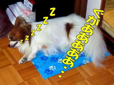 ²¿¤È¤«¸µ¤Ø¡ú¨