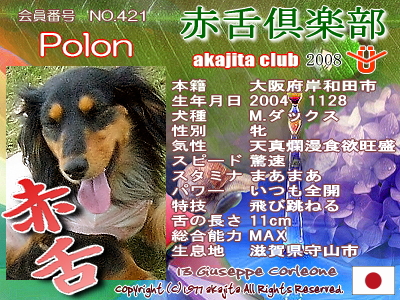 421-polon-2008june