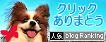 ¥Ö¥í¥°¥é¥ó¥¥ó¥°¡ú2009.09.01