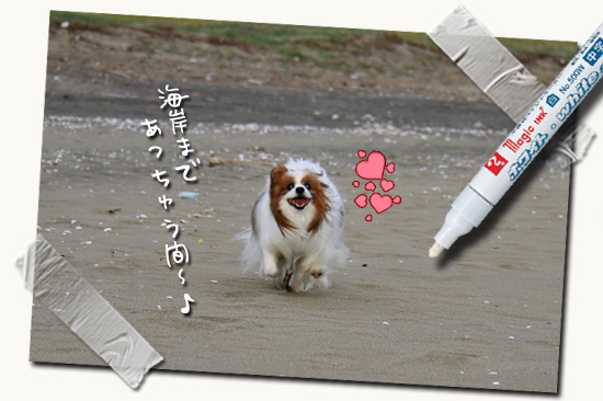 ¥µ¥¶¥Ó¡¼¡¢¥·¡¼¥µ¥¤¥É¡¦¥Ç¥Ã¥¤ËΩ¤Ä¡ª¡ª¡¡11