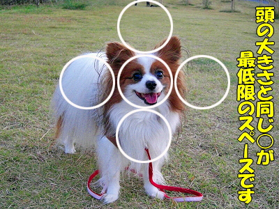 ¶¦ÄÌÅÀ¤Ï¡¦¡¦¡¦¡©©