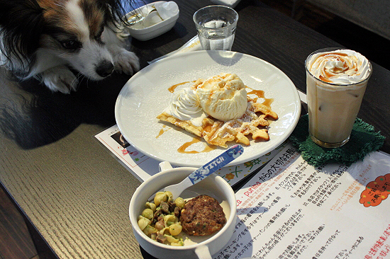 ºÆ¤ÓMerry Dog§