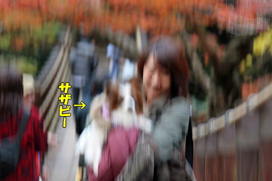 ¹ÈÍեǡ¼¥È¡ÊÈÖ³°ÊÔ¡Ë¡¡16