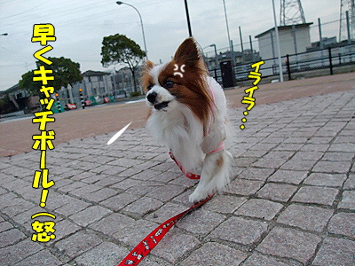 ɱ¡¤Îµ¢¤êÆ»¤