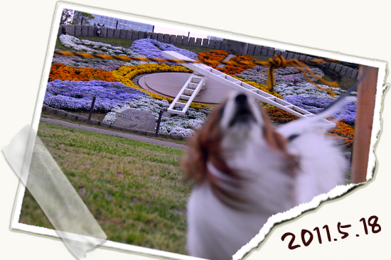 ¡ÚWan 2011¡Û¡ÊÁ°ÊÓ¡Ë¡¡05