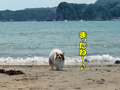 ¼é볤´ß¡ú±