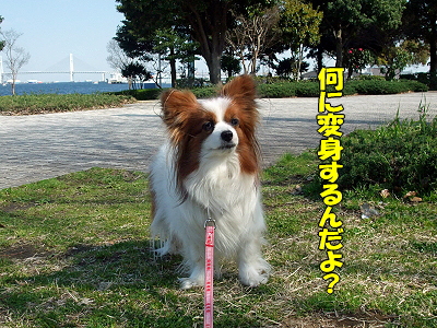 .:*:'¡¬¡ù.:*:'¡¬Sazaby's blog.:*:'¡¬¡ù.:*:'¡¬¤