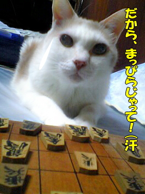 ¥°¥°¤¸¤¤¤µ¤ó¤Î»×¤¤½Ð«