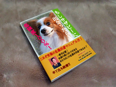 ´íµ¡²óÈò¥Þ¥Ë¥å¥¢¥ë¡ú£