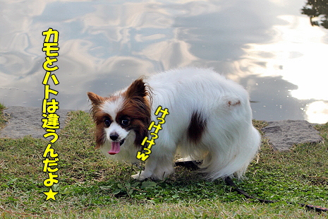 ¥«¥â¤Ê¤é¡¦¡¦¡¦¤
