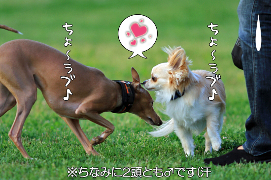 ¤ªµ×¤·¤Ö¤ê¤Î¡¦¡¦¡¦¢ö¡¡08