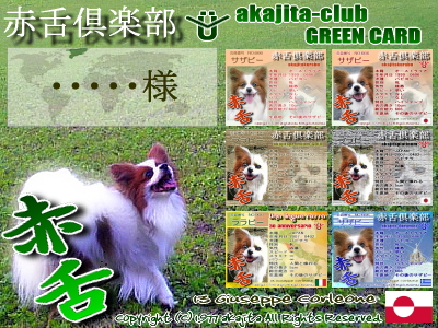 ÀÖÀ奰¥ê¡¼¥ó¥«¡¼¥É¡ú