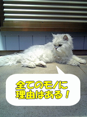 ¥·¥ã¥É¥¦²È²¤