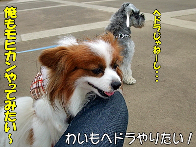 JOY¤È¶¦¤Ë¡¦¸åÊÔ©