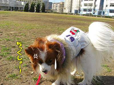 ¤Þ¤À¤Þ¤À¶¯É÷¡£¡£orz¥