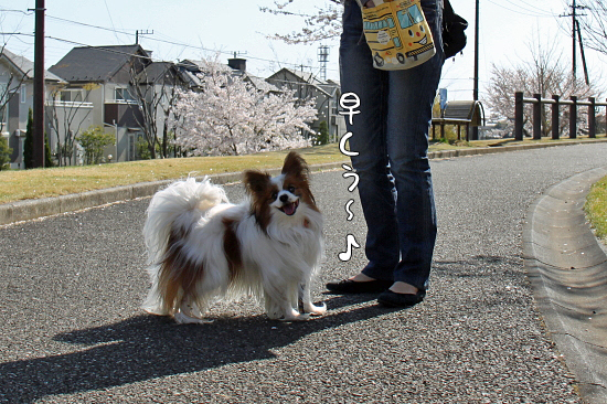 ¤ª²Ö¸«¥ª¥ó¥é¥¤¥ó¡ÊÁ°ÊÓ¡Ë¡¡08