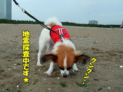 ÃÏÍ롦¡¦¡¦©