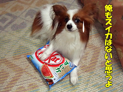 ¥¥Ã¥È¥«¥Ã¥È¡ú§