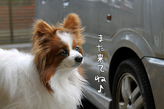 ½ç±ä¤Î¤ªÃΤ餻¡ú¡¡03