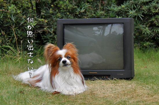 ¤µ¤è¤Ê¤é¡¢|||-_||| Äç»Ò¡¡09