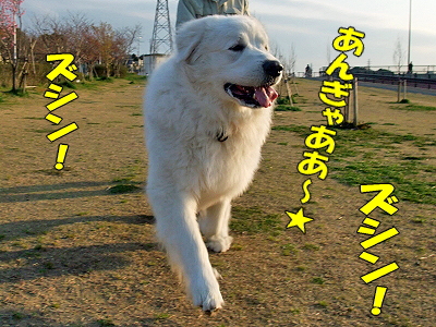 ½Õ°ìÈ֡ʥϥë¤Á¤ã¤ó°µ¾¡ÊÔ¡Ë¥