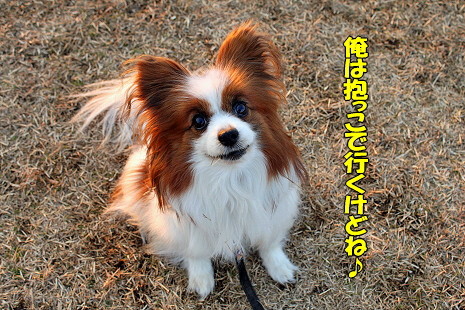 ÀéÍÕ¥¤¥ó¥¿¡¼¤Ç¤ª²ñ¤¤¤·¤Þ¤·¤ç¤¦¢ö¦
