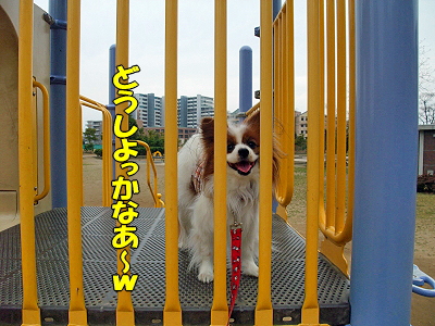 JOY¤È¶¦¤Ë¡¦Á°ÊÔ¬