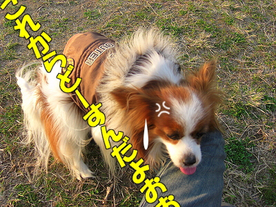µÙºÜ¡©¤Î¤ªÃΤ餻¡¦¡¦¡¦orz?