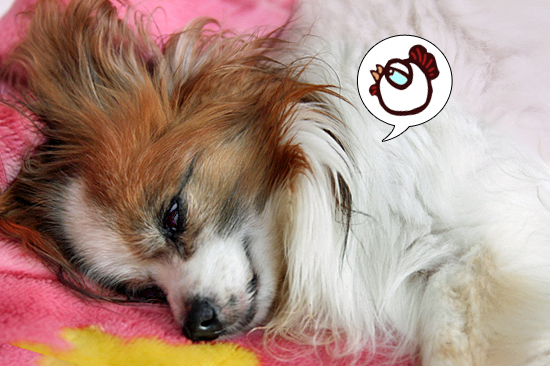 ¤ª¤Ï¤è¤¦¡¦¡¦¡¦¢ö¡¡01