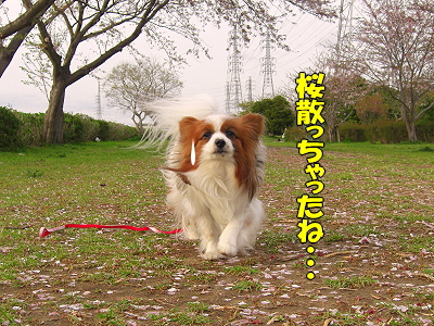 ºù»¶¤ë¡¦¡¦¡¦£