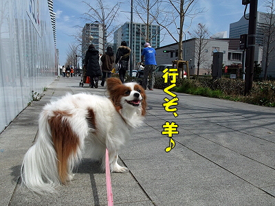 ¥µ¥¶¥Ó¡¼¡¢²£ÉͤËΩ¤Ä¡ª¤Î´¬¤£