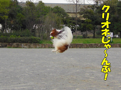 ¥¯¥ê¥ª¥Í¡¦¥¸¥ã¥ó¥×¡ú¬