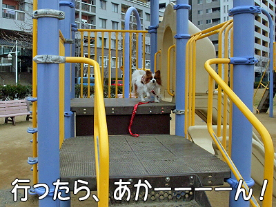 JOY¤È¶¦¤Ë¡¦Á°ÊÔª
