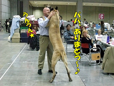 ¥¢¥¸¥¢¥¤¥ó¥¿¡¼2009¡Ê¸åÊÔ¡Ë