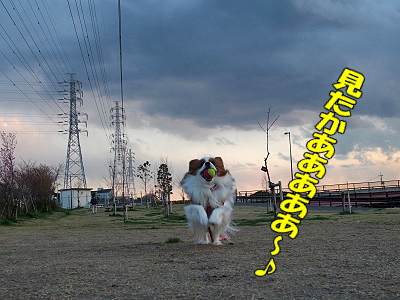 ¤È¤Ã¤Æ¤â¥Ï¥¤¥¸¥ã¥ó¥×¡ú¨