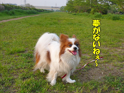 ET¥µ¥¶£÷¥