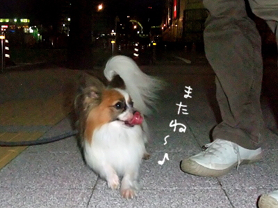 ¥Ó¥Ó¥Ó²ñ24