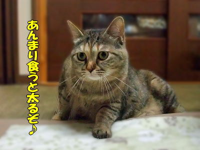 ¤ªµ×¤·¤Ö¤ê©
