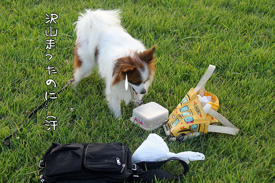 Âô»³Áö¤Ã¤¿¤Î¤Ë¡¦¡¦¡¦ª