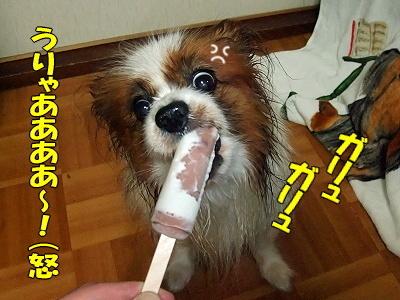 É÷Ϥ¾å¤¬¤ê¤ÎÌëÃæ¤Ëª