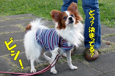 ½©¤Î¥ª¥Õ²ñ¡¡¤½¤Î£µ
