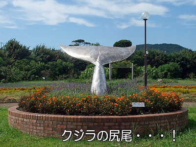 ¾¡±º¥ª¥ó¥é¥¤¥ó③