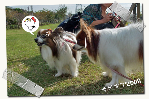 ¡ÚÄÉÅé¡Û¥Ç¥¤¥¸¡¼¤Á¤ã¤ó¡¡04