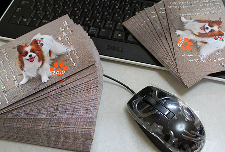 2010ǯ²ì¾õ¡ú¡ù¡ú£