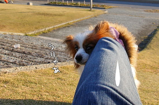 ¤¢¤ì¤«¤é¡¦¡¦¡¦È¾Ç¯ 02