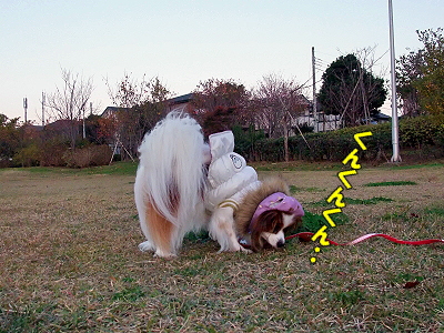 ¤¤¤È¥µ¥¶É÷¡¢¤½¤Î¥µ¥¶£÷¦