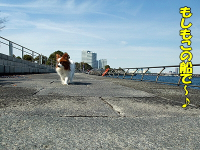 ¥µ¥¶¥Ó¡¼¡¢¼ãÂ羡ª¤Î´¬¤¡